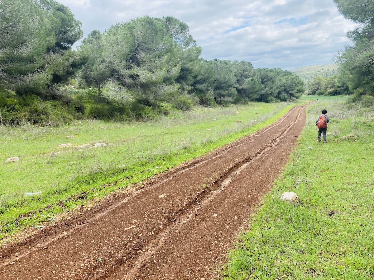 Camino de Jesus/Jesus Trail